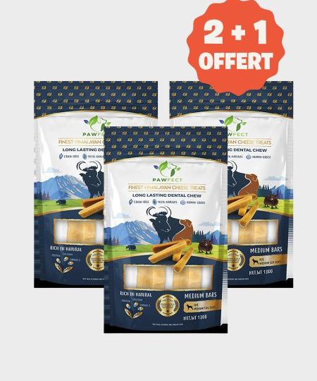 Barres de Fromage de Yak pour chien - Taille M -  Pawfect offre 2+1 offert