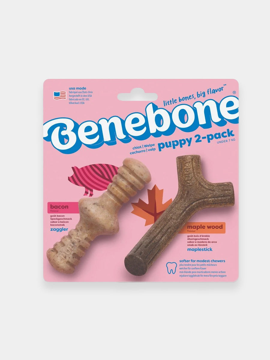 Benebone-pack-2-jouets-a-macher-pour-chiot-Dental-zaggler-maplestick