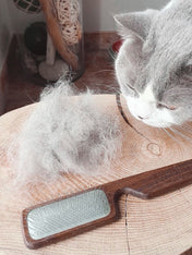 Biogance-brosse-carde-toilettage-chien