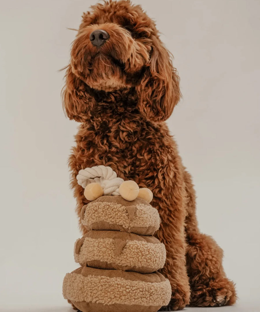 By-teddy-peluche-pour-chien-design-Maple-Pancake