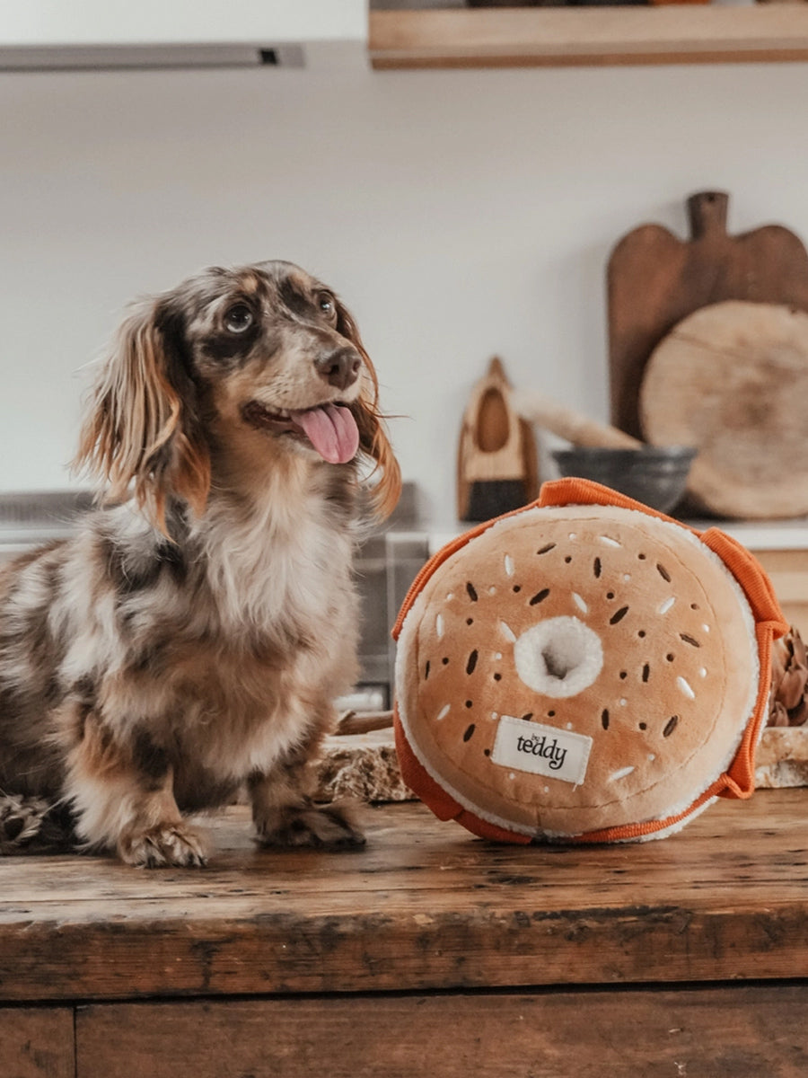 By-teddy-peluche-pour-chien-design-Salmon-Cream-Cheese-Bagel