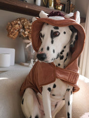 Cocopup-london-peignoir-pour-chien-vache-highland
