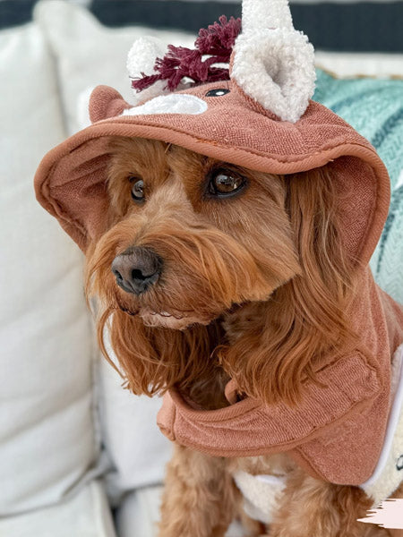 Cocopup-london-peignoir-pour-chien-vache-highland