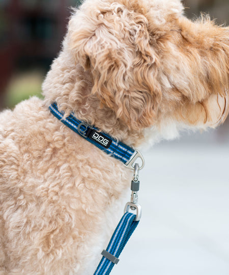 DOG-Copenhagen-collier-pour-chien-resistant-Urban-Style-Collar-bleu