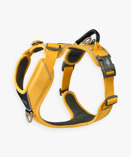 DOG-Copenhagen-harnais-pour-chien-resistant-comfort-walk-pro-3.0-lemon