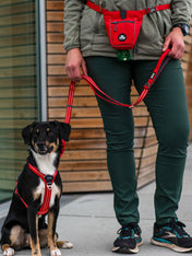 DOG-Copenhagen-sac-a-friandises-pour-chien-go-explorer-treat-bag-rouge