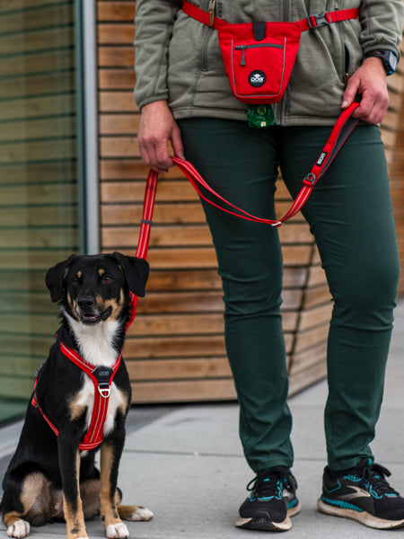 DOG-Copenhagen-sac-a-friandises-pour-chien-go-explorer-treat-bag-rouge