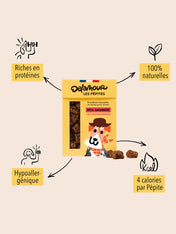 Delamour-friandise-premium-pour-chien-les-pepittes-saumon