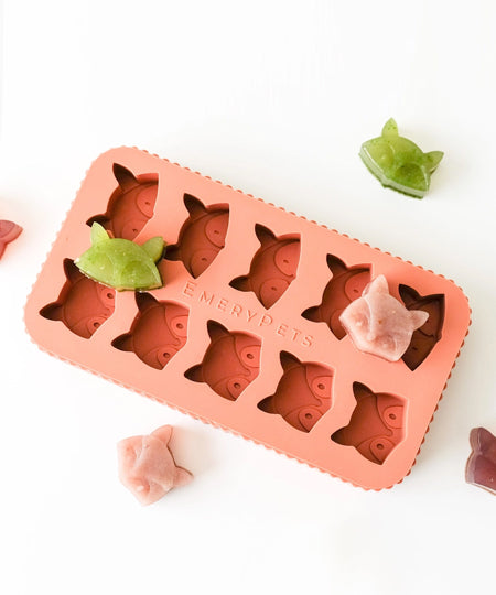 EmeryPets-moule-friandises-pour-chien-renard