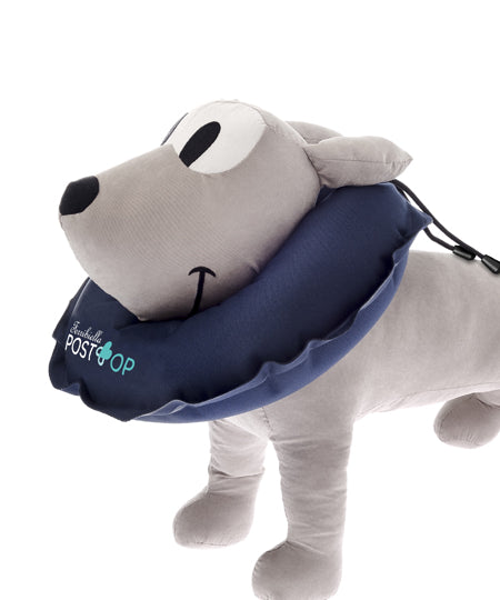 Ferribiella-Collerette-gonflable-pour-chien-PostOp