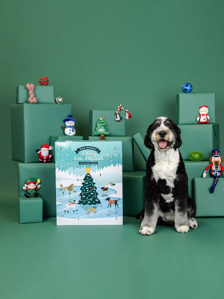 Fringe-petshop-calendrier-avent-pour-chien-xxl-peluche