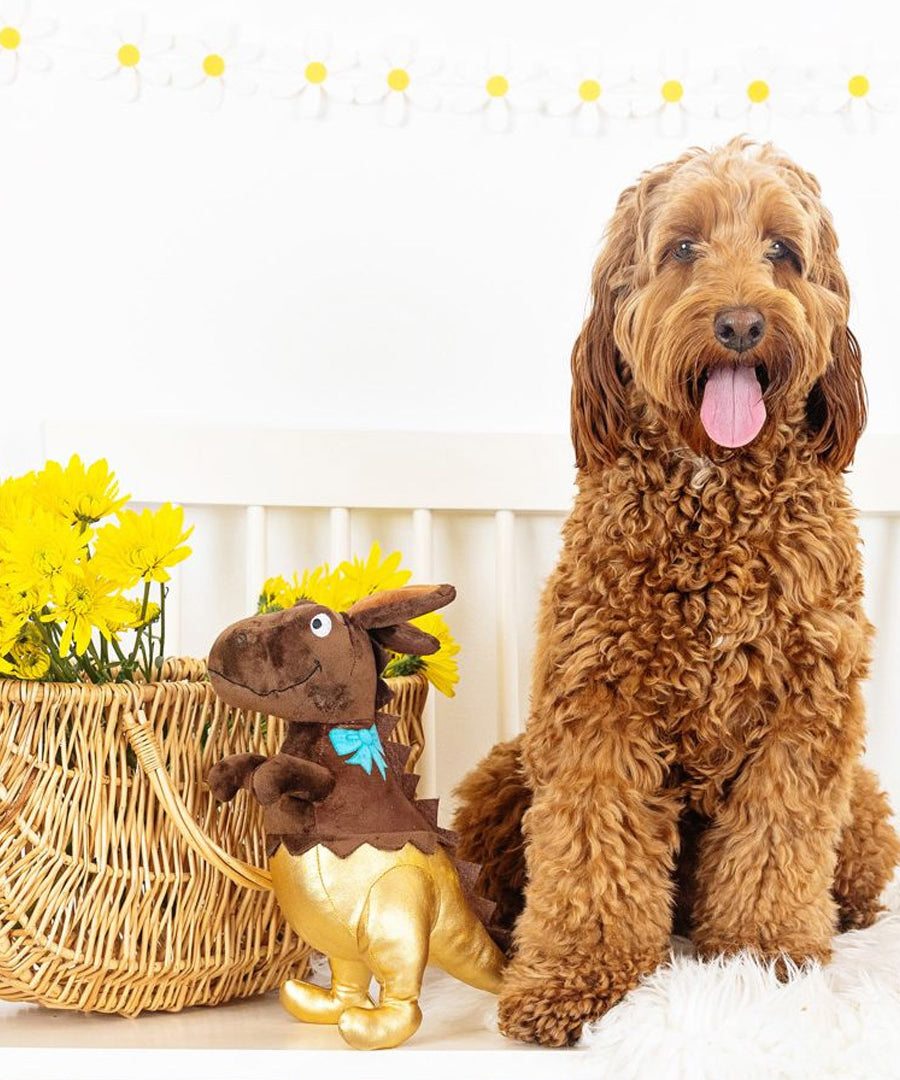 Fringe-petshop-peluche-design-chien-Choc-A-SaurusRex