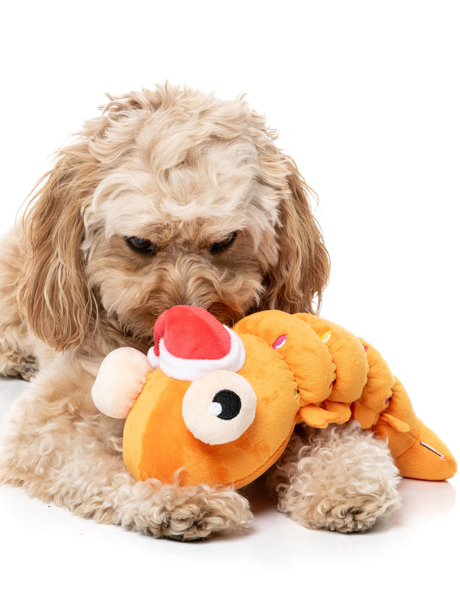Fuzzyard-peluche-pour-chien-originale-crevette-noel