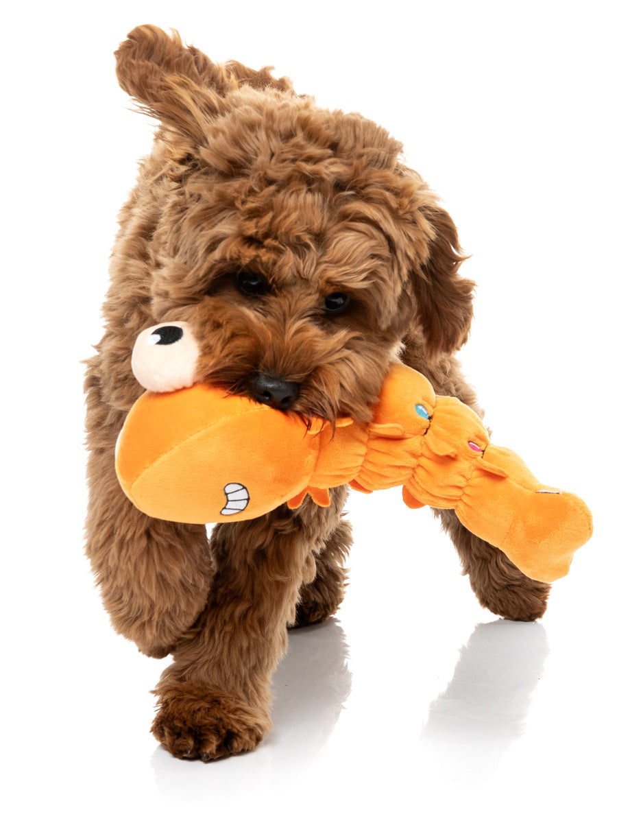 Fuzzyard-peluche-pour-chien-originale-crevette-noel