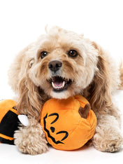 Fuzzyard-peluche-pour-chien-originale-halloween-Mr-citrouille