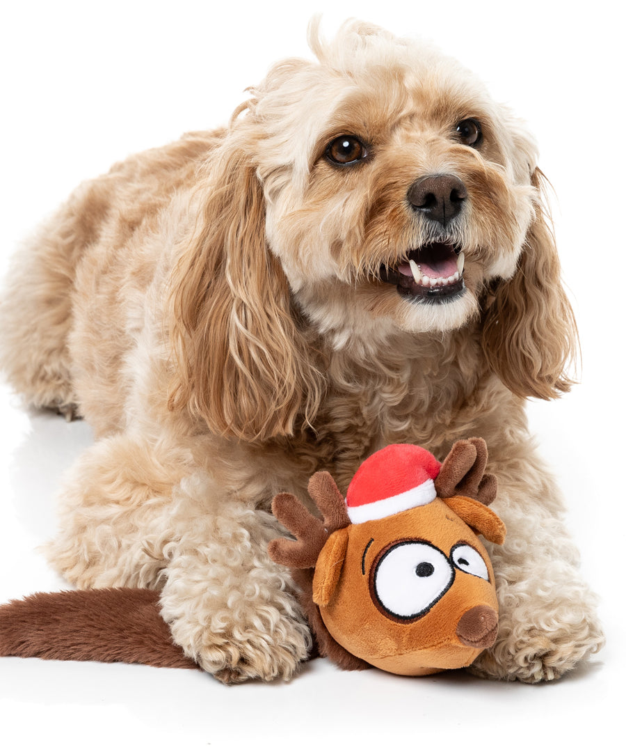 Fuzzyard-peluche-pour-chien-souris-noel
