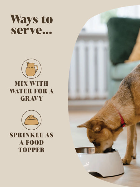 Hackney-Dog-House-complement-alimentaire-chien-bouillon-poulet