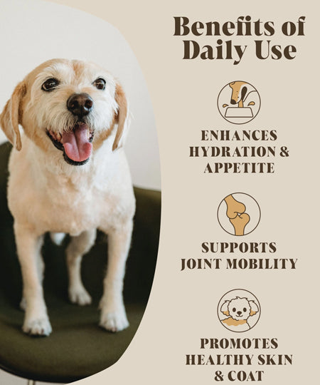 Hackney-Dog-House-complement-alimentaire-chien-bouillon-poulet