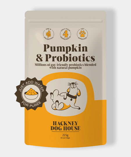 Hackney-Dog-House-complement-alimentaire-chien-digestion-probiotic