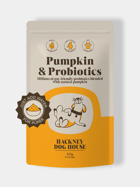 Hackney-Dog-House-complement-alimentaire-chien-digestion-probiotic