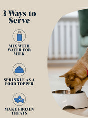 Hackney-Dog-House-complement-alimentaire-chien-lait-de-chevre