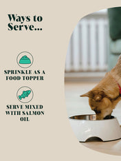 Hackney-Dog-House-complement-alimentaire-chien-poudre-de-moule-verte