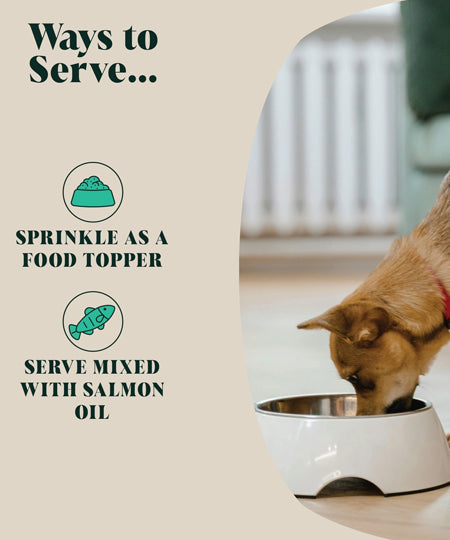 Hackney-Dog-House-complement-alimentaire-chien-poudre-de-moule-verte