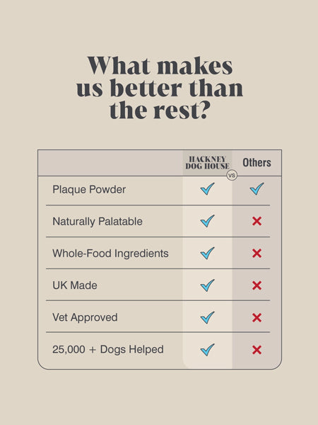 Hackney-Dog-House-complement-alimentaire-chien-soin-dentaire