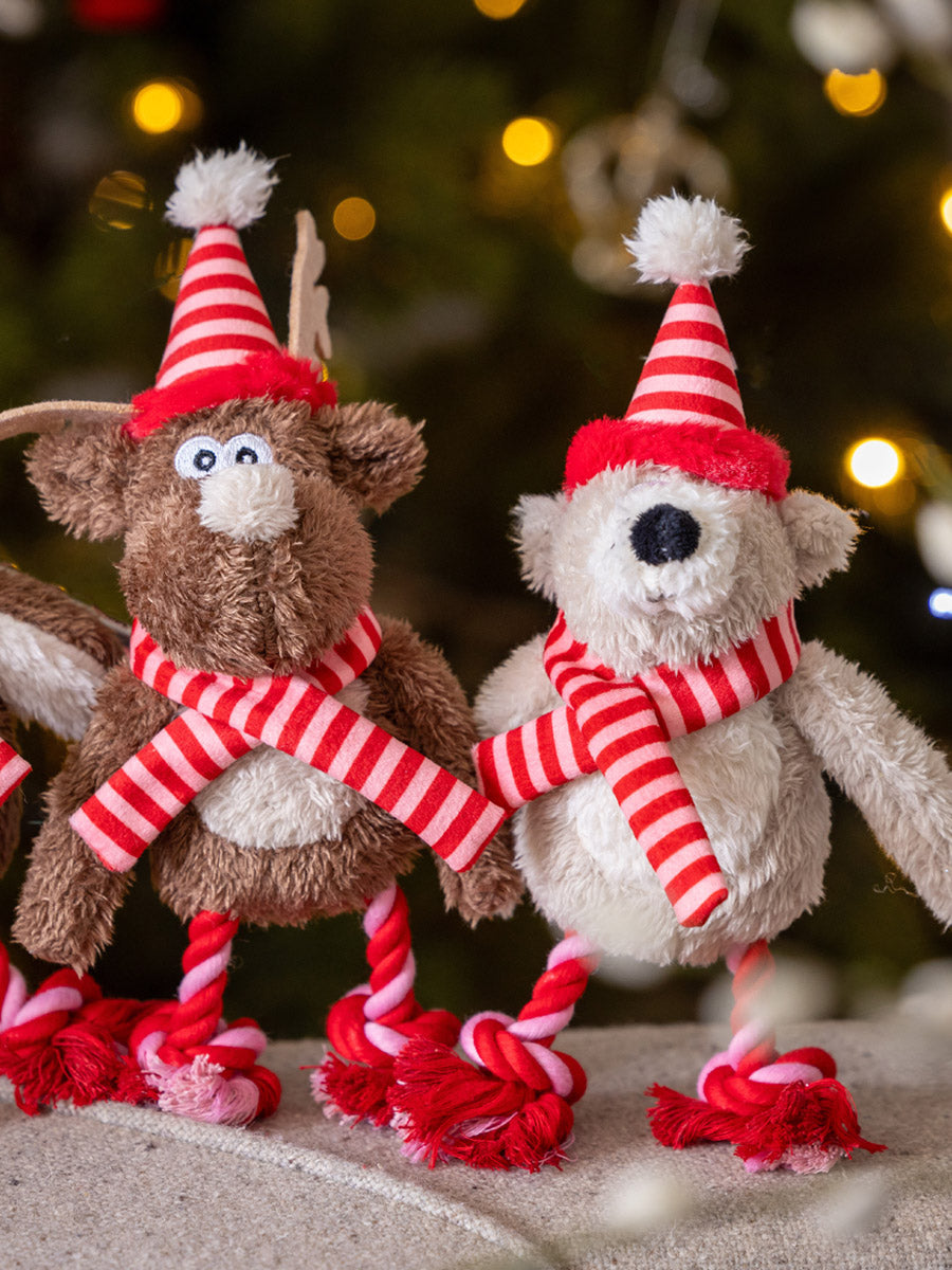 House-of-Paws-peluche-pour-chien-noel-2025-morse