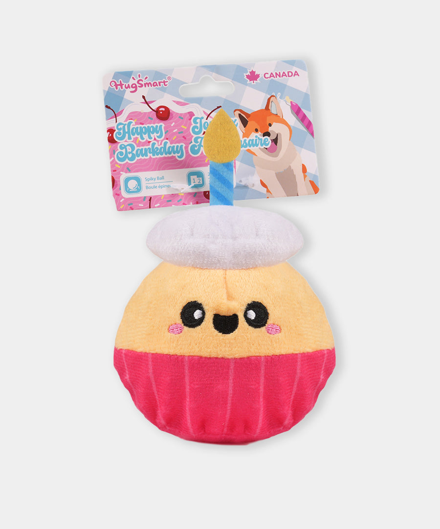 HugSmart-peluche-balle-pour-chien-chiot-gateau-anniversaire