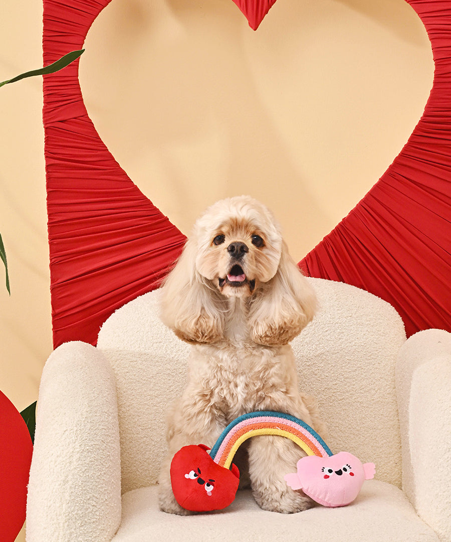 HugSmart-peluche-corde-pour-chien-chiot-arc-en-ciel-coeur