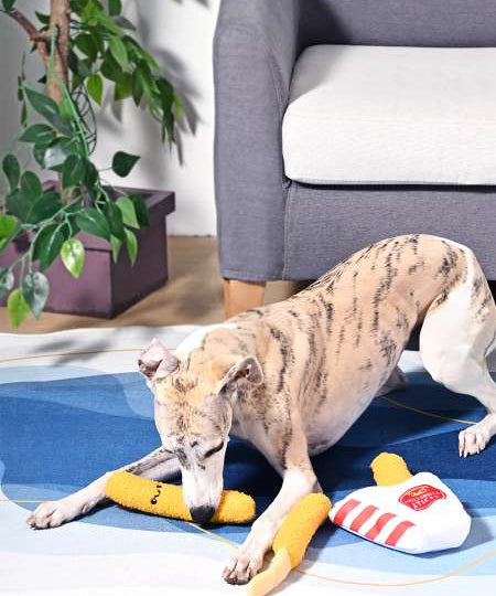 HugSmart-peluche-interactive-pour-chien-chiot-mozza-stick