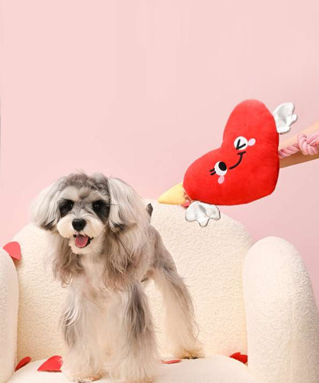 HugSmart-peluche-interactive-pour-chien-chiot-saint-valentin-coeur