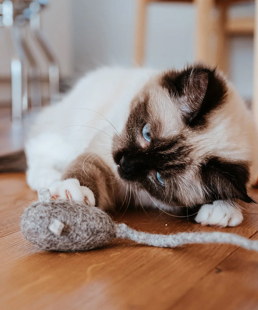 Hunter-Jouet-pour-chat-en-laine-souris-gris
