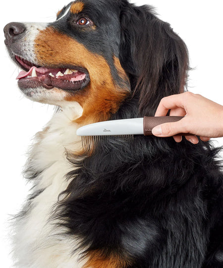 Hunter-brosse-demelante-pour-chien