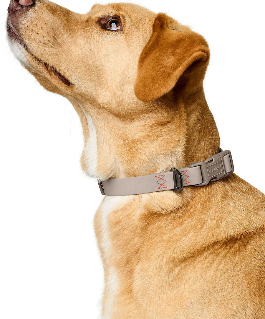 Hunter-collier-biothane-pour-chien-Havanna-beige