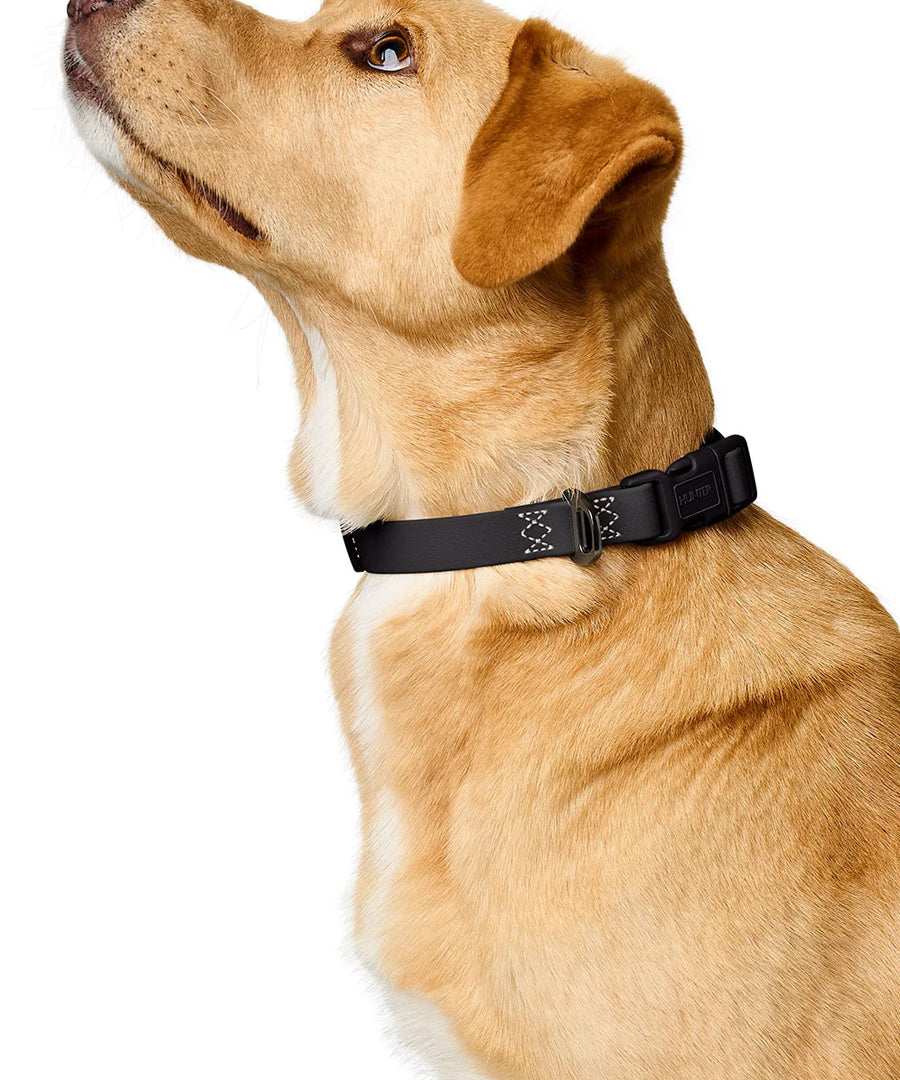 Hunter-collier-biothane-pour-chien-Havanna-noir