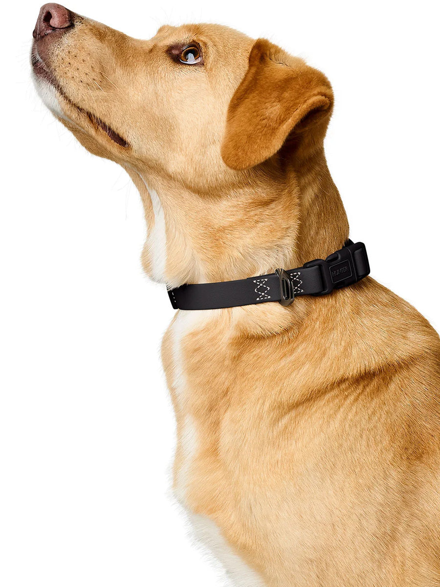 Hunter-collier-biothane-pour-chien-Havanna-noir