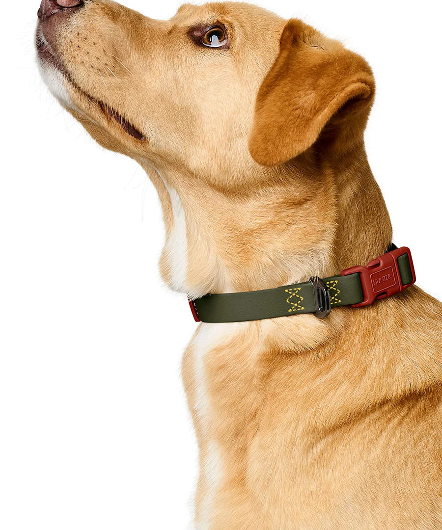 Hunter-collier-biothane-pour-chien-Havanna-vert-orange