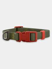 Hunter-collier-biothane-pour-chien-Havanna-vert-orange