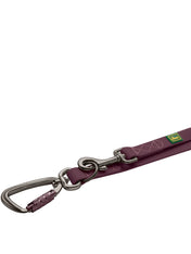 Hunter-laisse-biothane-pour-chien-Havanna-mure