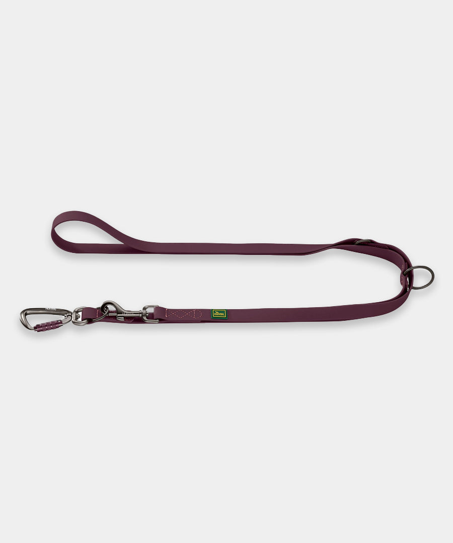 Hunter-laisse-biothane-pour-chien-Havanna-mure