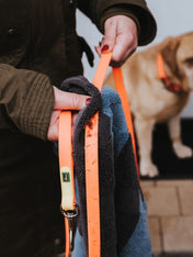       Hunter-longe-convenience-pour-chien-noir-5-metres