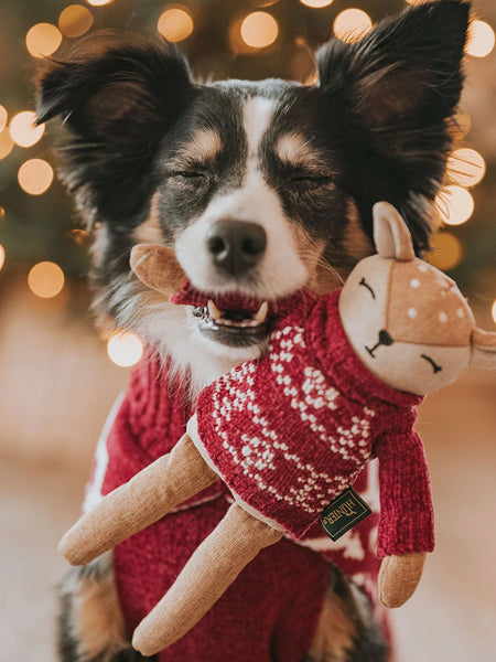 Hunter-peluche-pour-chien-renne-noel