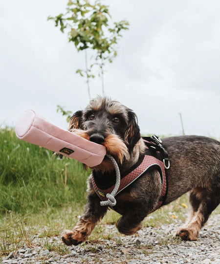 Hunter-sac-friandises-dummy-snack-education-rose