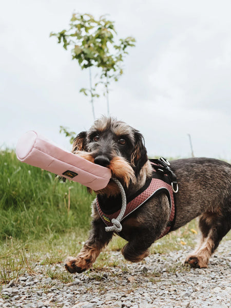 Hunter-sac-friandises-dummy-snack-education-rose