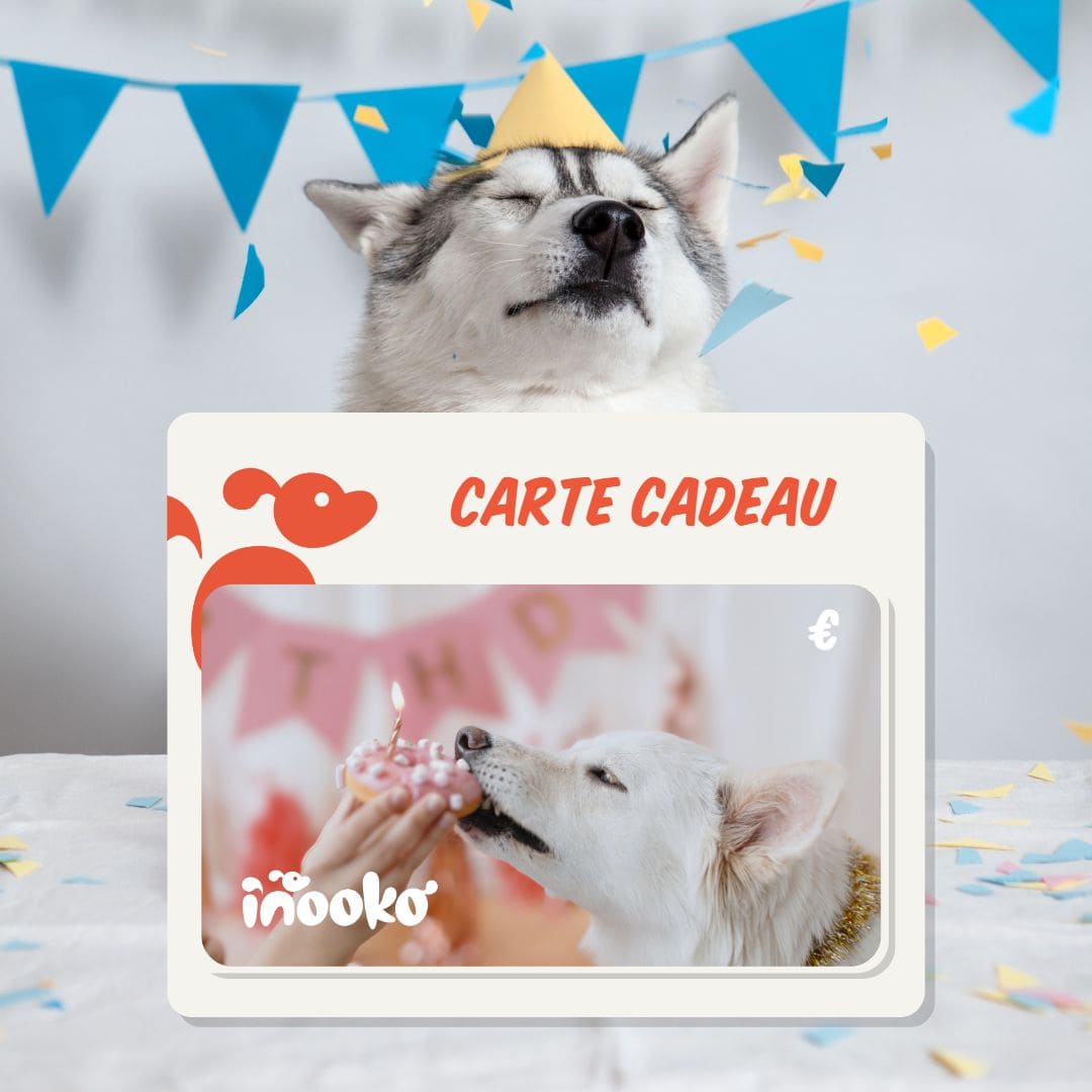 Inooko - boutique-chien-chat-carte-cadeau-offrir