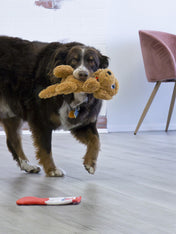 Kong-jouet-peluche-pour-chien-golden-Pups-Goldie
