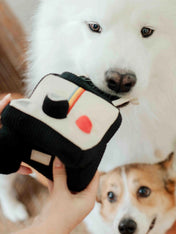 Lambwolf-Collective-jouet-design-minimalist-pour-chien-appareil-photo