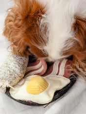 Lambwolf-Collective-jouet-design-minimalist-pour-chien-breakfast